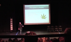 Discussing Perception vs Reality of Marijuana Use in Teens